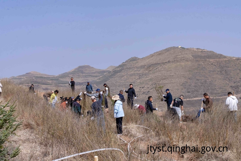 践行习近平生态文明思想 助力美丽幸福西宁建设 ——厅信息中...